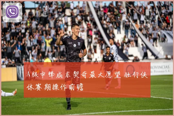 A级中锋成东契奇最大愿望 独行侠休赛期操作前瞻