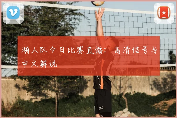湖人队今日比赛直播：高清信号与中文解说
